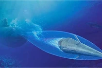 Sức hấp dẫn của "tên lửa" dưới nước Shkval của Nga