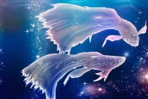 Tử vi 12 cung hoàng đạo 14/1/2025: Song Ngư thăng tiến