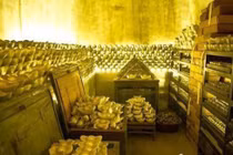 Choáng ngợp khối tài sản tham nhũng của gian thần Hòa Thân