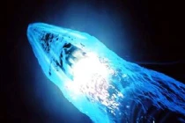 Ngư lôi Shkval: vũ khí cân bằng sức mạnh tàu ngầm Xô-Mỹ