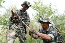 Lính Trung Quốc quyết không kém Mỹ, nuốt sống rắn độc