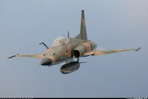 Mỹ vẫn bán tiêm kích F-5E, Việt Nam có thể mua?