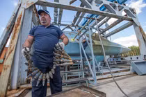 Kỳ quái: Siêu tiêm kích Su T-50 Nga sẽ dùng...đạn nhựa