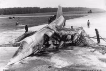 Điểm mặt 5 chiếc ''quan tài bay” huyền thoại của Không quân Mỹ