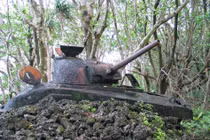 Rờn rợn di tích trận “Mũi đất chết chóc” giữa Mỹ - Nhật