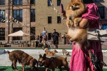 Niềm an ủi đặc biệt của người dân Ukraine trong khói lửa xung đột