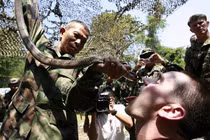 Tìm hiểu cuộc tập trận mà Việt Nam tham gia một phần