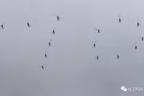 Phát hoảng với dàn trực thăng siêu nhẹ của đặc nhiệm Trung Quốc