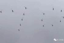 Phát hoảng với dàn trực thăng siêu nhẹ của đặc nhiệm Trung Quốc