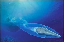 Nga muốn ngư lôi siêu tốc VA-111 nguy hiểm hơn nữa