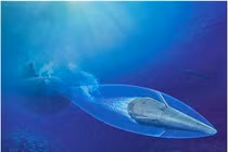 Nga muốn ngư lôi siêu tốc VA-111 nguy hiểm hơn nữa