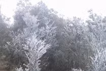 Băng tuyết phủ kín đỉnh Mẫu Sơn, nhiệt độ -2,1 độ C