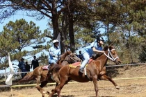 Kỳ thú đua ngựa ở Thung lũng tình yêu