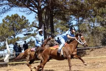 Kỳ thú đua ngựa ở Thung lũng tình yêu