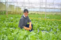 Bỏ đô thị, lên núi trồng rau sạch