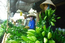 Đại gia Sài Gòn bị “bỏ bùa”, lên núi học làm nông