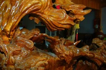 Đại gia đào rễ xá xị khủng trăm tuổi chế bàn ghế 