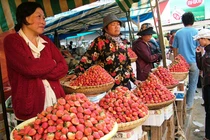 Mua đặc sản tại chợ Đà Lạt, du khách bị đánh bất tỉnh