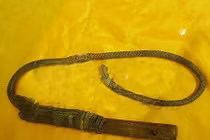 Dùng nhục hình, hai CSĐT đối mặt với lao lý