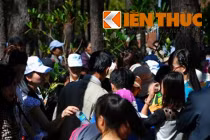 Mướt mồ hôi leo đồi, chen chân xin lộc ngày Giỗ Tổ