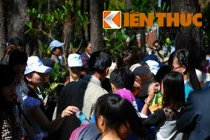 Mướt mồ hôi leo đồi, chen chân xin lộc ngày Giỗ Tổ