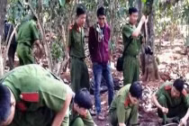 Hàng chục công an truy bắt kẻ giết người trốn trong rừng