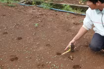 Dân hoang mang vì “thú lạ” xuất hiện ban đêm