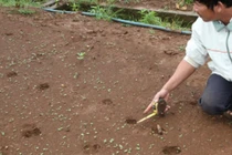 Dân hoang mang vì “thú lạ” xuất hiện ban đêm