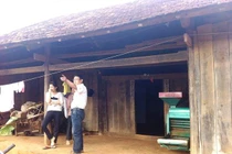 Bán cột nhà, cọc rào… cho thương lái Trung Quốc