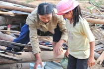 Voi phá nhà, người bẫy voi