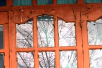 Kinh hãi sâu đường phố tấn công nhà dân