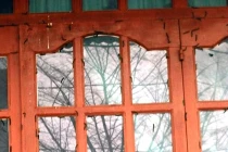 Kinh hãi sâu đường phố tấn công nhà dân