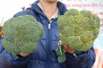 Rau quả Trung Quốc và Đà Lạt phân biệt thế nào?