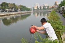 Háo hức thả cá chép ra sông