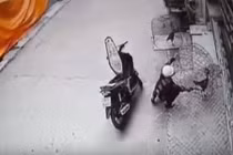 Đi xe máy trộm gà chọi giữa ban ngày ở Phú Thọ