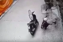Đi xe máy trộm gà chọi giữa ban ngày ở Phú Thọ