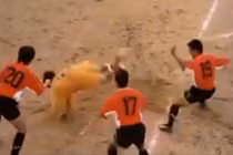 Đá bóng theo phong cách Thiếu Lâm Tự