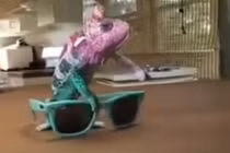 Xem kỳ nhông đổi màu xoành xoạch mà phát hoảng