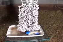 Chuyện gì xảy ra khi đổ thép nung vào tổ kiến?