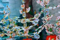 Đã mắt ngắm cây... tiền thật trưng bày Tết