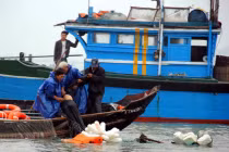 Tàu cá chìm, 8 ngư dân được cứu thoát