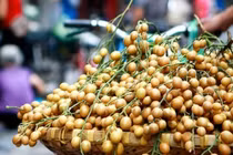 Công dụng kỳ diệu của quả hồng bì ít người biết