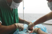 “Bệnh viện nổi” Việt Nam và hải trình nghìn dặm trên Biển Đông