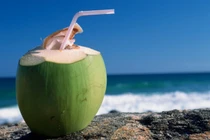 Những điều nhất định phải nhớ khi uống nước dừa