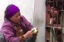 Mẹ 61 tuổi xây chuồng nhốt 3 con trai tâm thần ở Hải Phòng