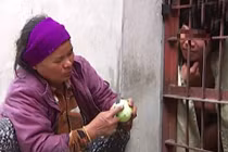 Mẹ 61 tuổi xây chuồng nhốt 3 con trai tâm thần ở Hải Phòng