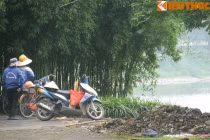 Công viên đô thị lớn nhất VN vắng như chùa Bà Đanh