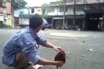 Đây là chú gà thông minh nhất Việt Nam