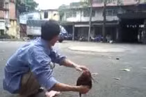 Đây là chú gà thông minh nhất Việt Nam