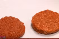 Cận cảnh miếng thịt bò nhân tạo giá 5,4 tỷ đồng